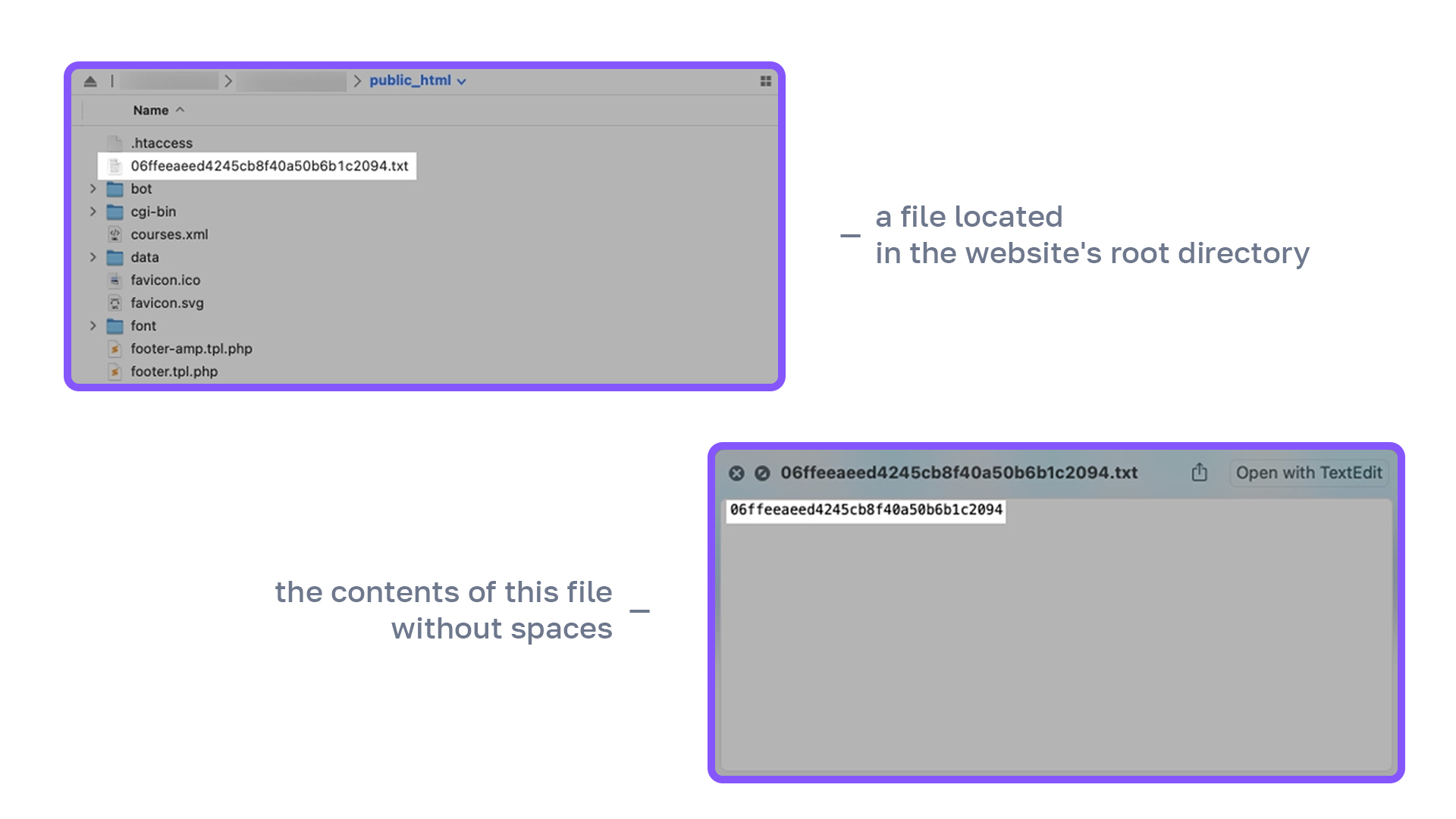 Screenshots - How to specify a key for sending pages via the IndexNow protocol.