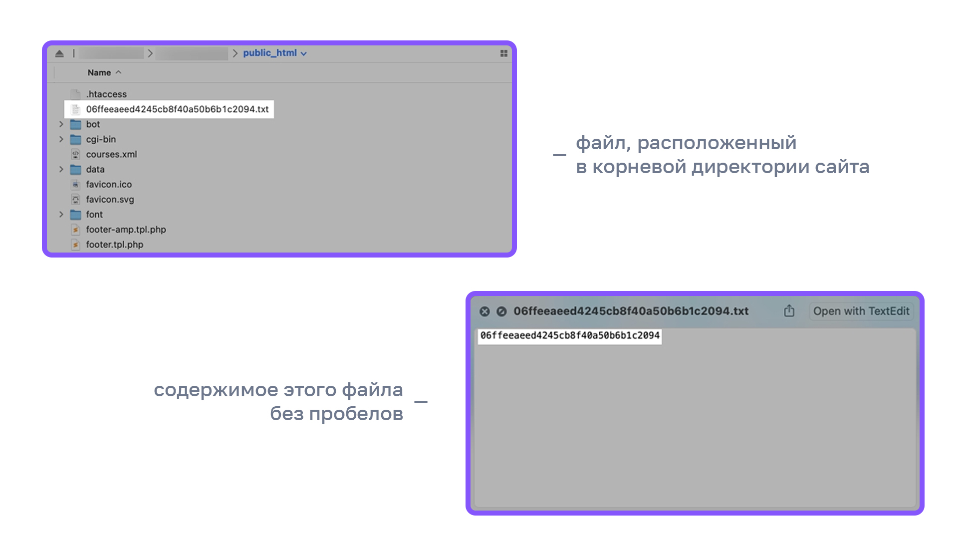 Скриншоты — Как указать ключ для отправки страниц через протокол IndexNow.